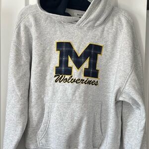 Hollister Blue Boxy Fit Hoodie